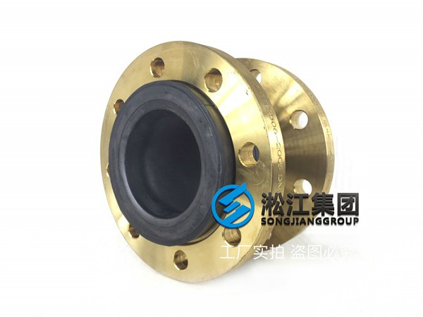 黄铜法兰橡胶接头