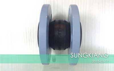 电厂管道中橡胶管接头出现故障